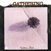 Night Time Birds Night Time Birds