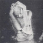 Live Vol.4 (1979-1980)