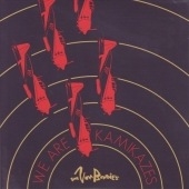 We Are The Kamikazes Aiming