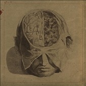 Insects : Special Mailpak Edition