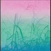 A Gain (Stoned Alone Again Or - Seahawks Remix)