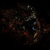 Message From The Other Side