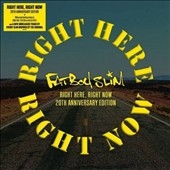 Fatboy Slim(ファットボーイ・スリム)｜UKのトップDJによるエンドレス