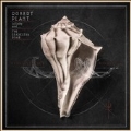 Lullaby and... The Ceaseless Roar [2LP+CD]