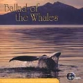 Ballad Of The Whales