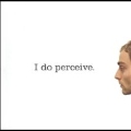 I Do Perceive