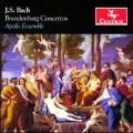 J.S.Bach: Brandenburg Concertos BWV.1047a, BWV.1050a, BWV.1057