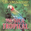 Las Consagradas De La Musica Tropical