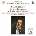 Schubert Lied Edition Vol.35 - Rarities, Fragments and Alternative Versions