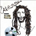 Alborosie Meets Roots Radics: Dub For Radicals