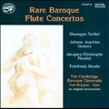 Rare Baroque Flute Concertos -Tartini, J.J.Quantz, J-C.Naudot, etc / Neil Mclaren, Cambridge Baroque Camerata