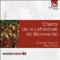 Chants de la Cathedrale de Benevento (Holy Week & Easter)