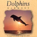 Dolphins Harmony