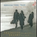 Piano Trios Vol.1 -Beethoven: Trio No.5 Op.70-1"The Ghost"; Brahms: Trio No.2 Op.87 (7/2007) / Morgenstern Trio