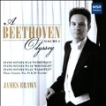 A Beethoven Odyssey Vol.2