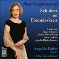 Nachtgesang - Schubert im Freundeskreis