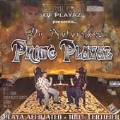 Playa Affiliated - 100% Certified