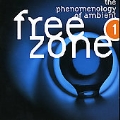 Freezone 1: Phenomenology Of Ambient
