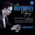 A Beethoven Odyssey Vol.1 - Piano Sonatas No.1, No.3, No.23