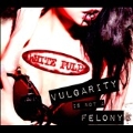 Vulgarity is Not a Felony