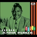 Little Junior Parker Rocks