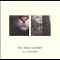 Slow Wonder, The