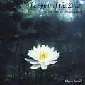 Spirit of the Zither