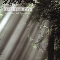 Forest Rays