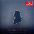 Haydn: Piano Trios Vol.2
