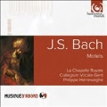 J.S.Bach: Motets