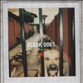 Black Dogs