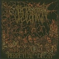 Perpetual Decay [PA]