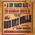A Boy Named Blue : The Bluegrass Tribute To Goo Goo Dolls