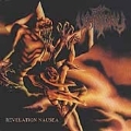 Revelation Nausea