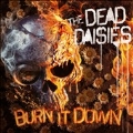 Burn It Down [LP+CD]
