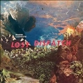 Lost Dispatch