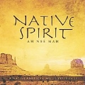 Native Spirit : Ah Nee Mah