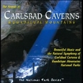 Orange Tree Productions: The Sounds of Carlsbad Caverns
