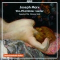 Joseph Marx: Trio-Phantasie, Lieder