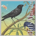 Billy Martin: Starlings