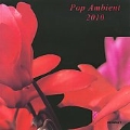 Pop Ambient 2010