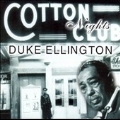 Cotton Club Nights