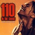 110 in the Shade: The 2007 Broadway Revival