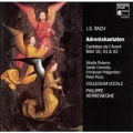 Bach: Adventskantaten / Herreweghe, Collegium Vocale