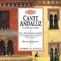 Cante Andaluz (Flamenco Song Live In Seville)