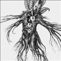 IV: Mandragora