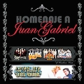 Homenaje a Juan Gabriel  [CD+DVD]