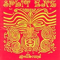 Spellbound-Very Best Of Split Enz [Remaster]