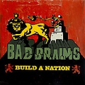 Build A Nation [7inch Vinyl Disc] [Box]