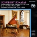 Schubert: Piano Sonatas No.18 D.894 Op.78, No.14 D.784 Op.143 / Howard Shelley